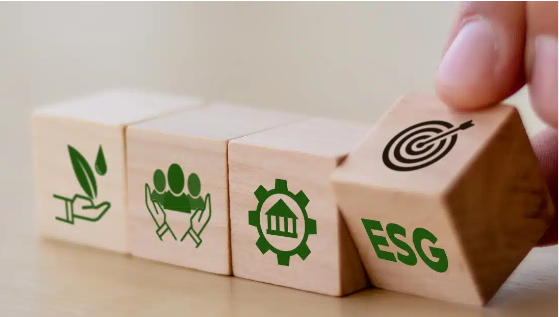 ESG e Sustentabilidade